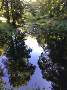 Manoir de Botcol