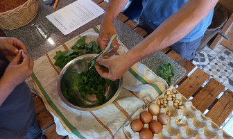 Atelier Cueillette et cuisine des plantes sauvages
