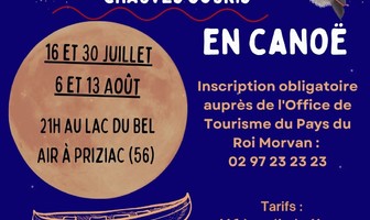Balade nocturne chauve-souris