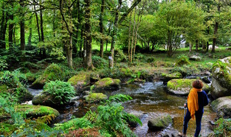 La vallée du Doré