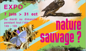 Exposition Nature sauvage... ?