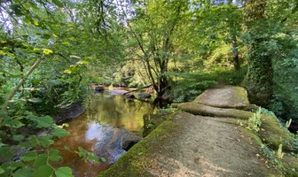 Site de Saint-Roch