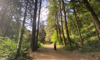 La vallée du Faoudel