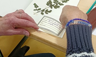 Atelier Herbier