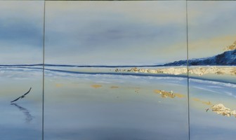 Exposition Dominique Champoussin &quot;EAU&quot;